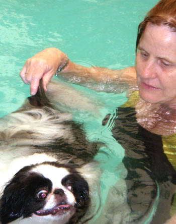 Beth Guiding Dog in Pool
