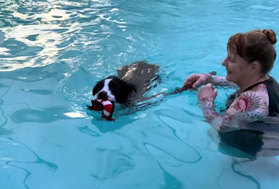Dog Swimming with Beth in Ultimate Dog Pool