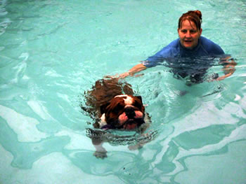 Senior Dog Swimming with Beth