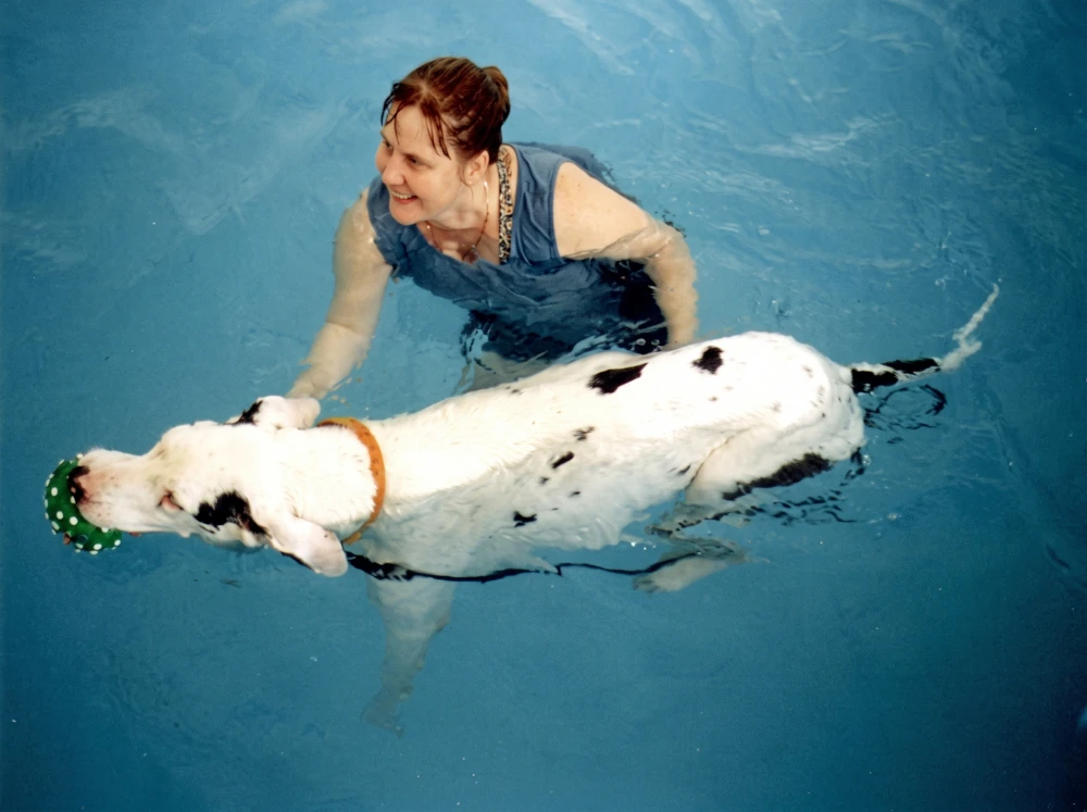 Dogs love swimming in the warm water pool.